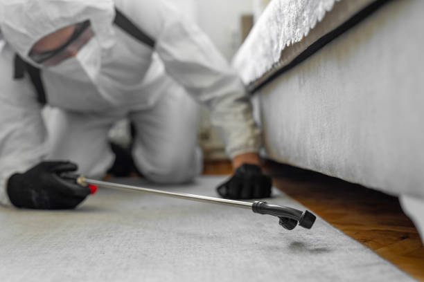 Professional Termite Control technician working in Rexland Acres, CA