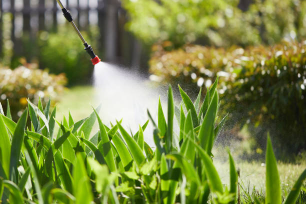 24/7 Emergency Termite Control experts in Rexland Acres, CA