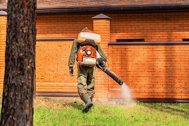 Trusted Termite Control service in Rexland Acres, CA - Nex Pest Control